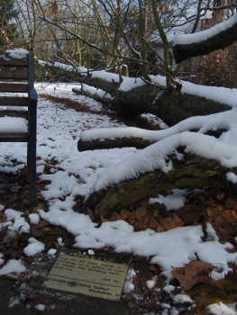 Auf dem alten Friedhof